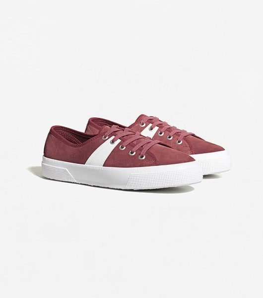 Shoe Shoe
